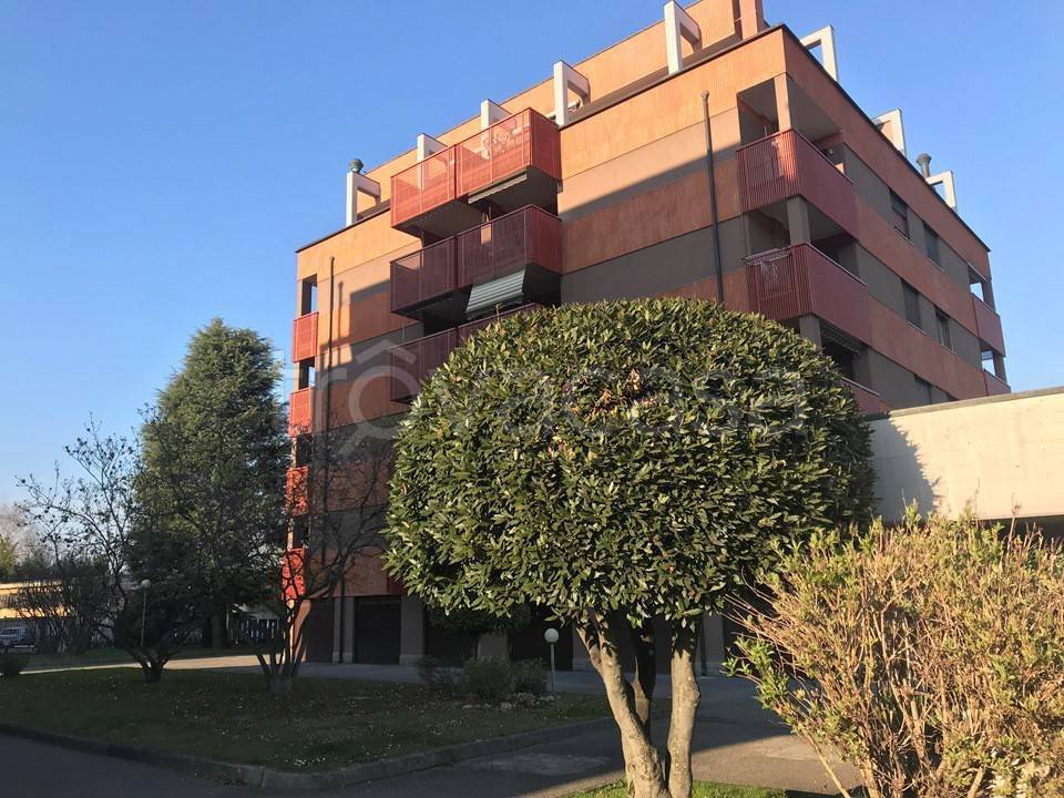 immagine annuncio 10 di 12