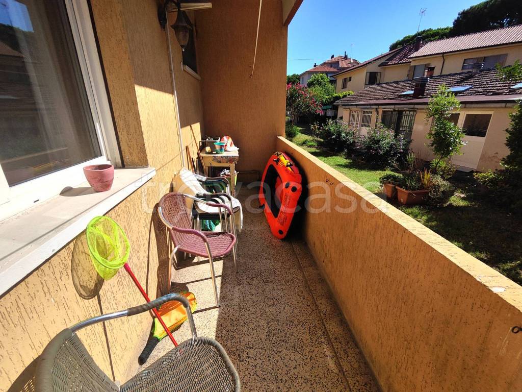 immagine annuncio 3 di 12