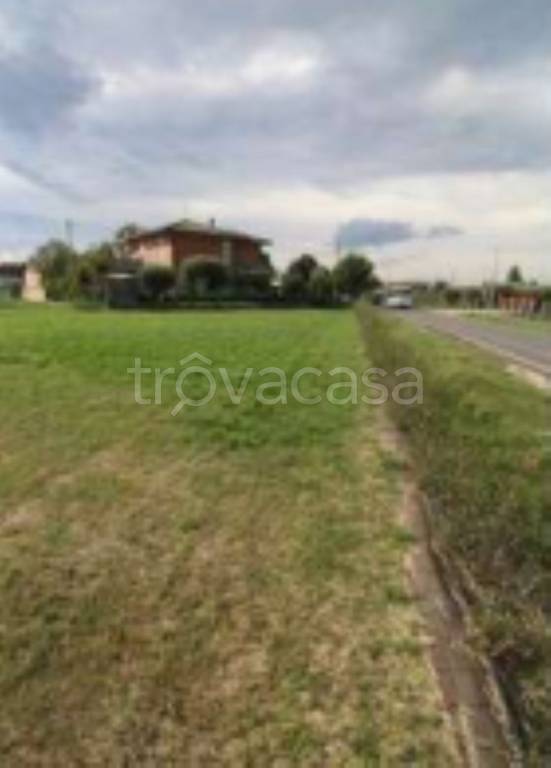 immagine annuncio 6 di 11