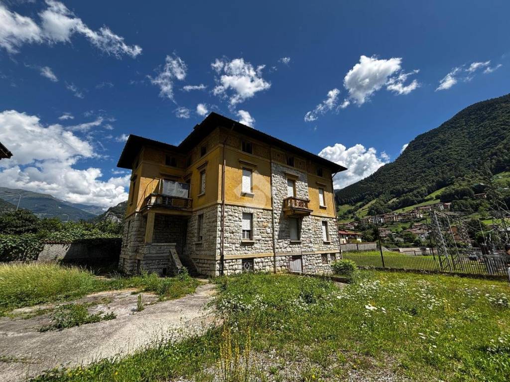 immagine annuncio 1 di 12