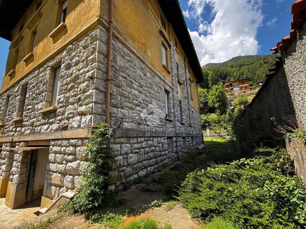 immagine annuncio 2 di 12