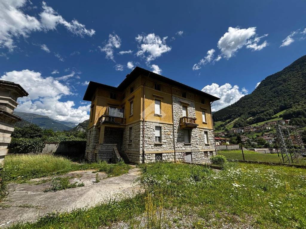 immagine annuncio 5 di 12