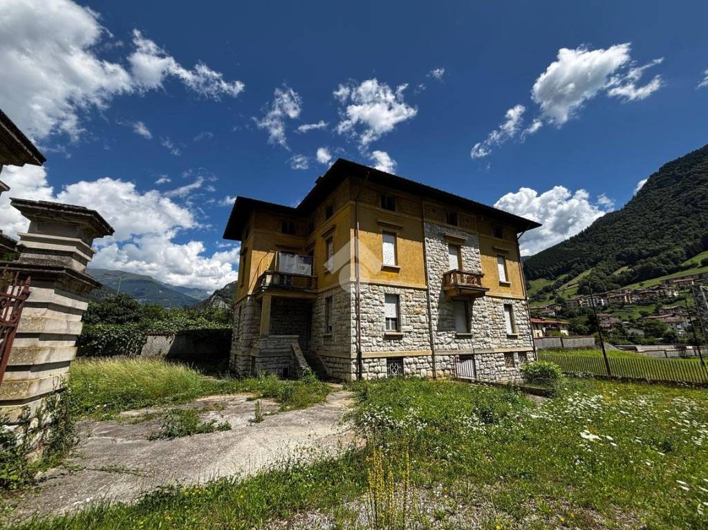 immagine annuncio 8 di 12