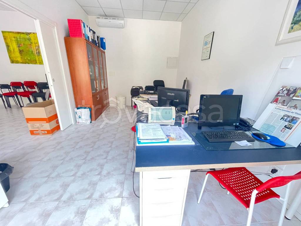 immagine annuncio 3 di 12