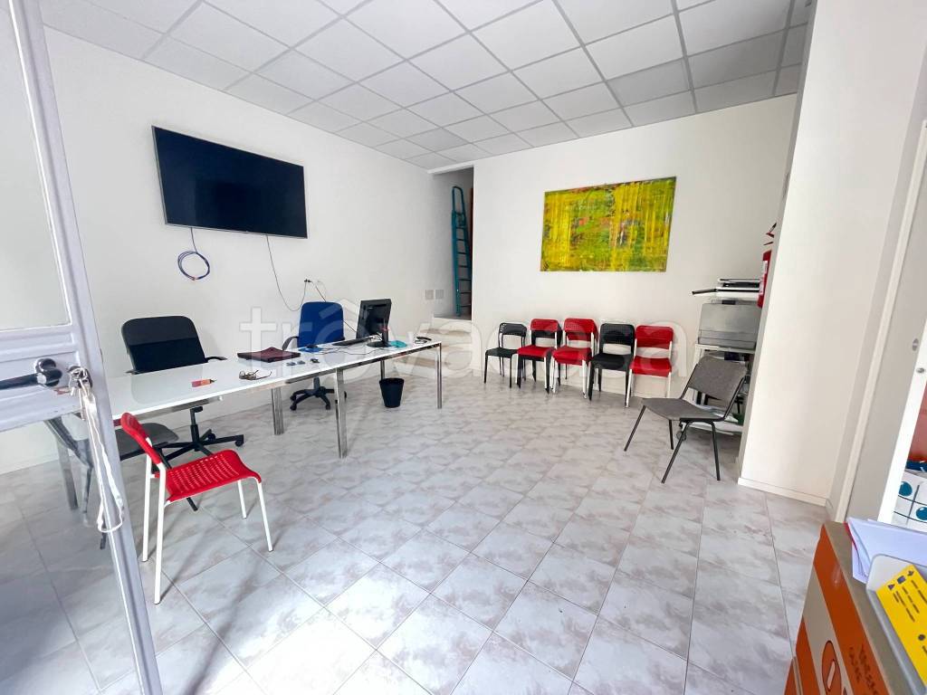 immagine annuncio 4 di 12