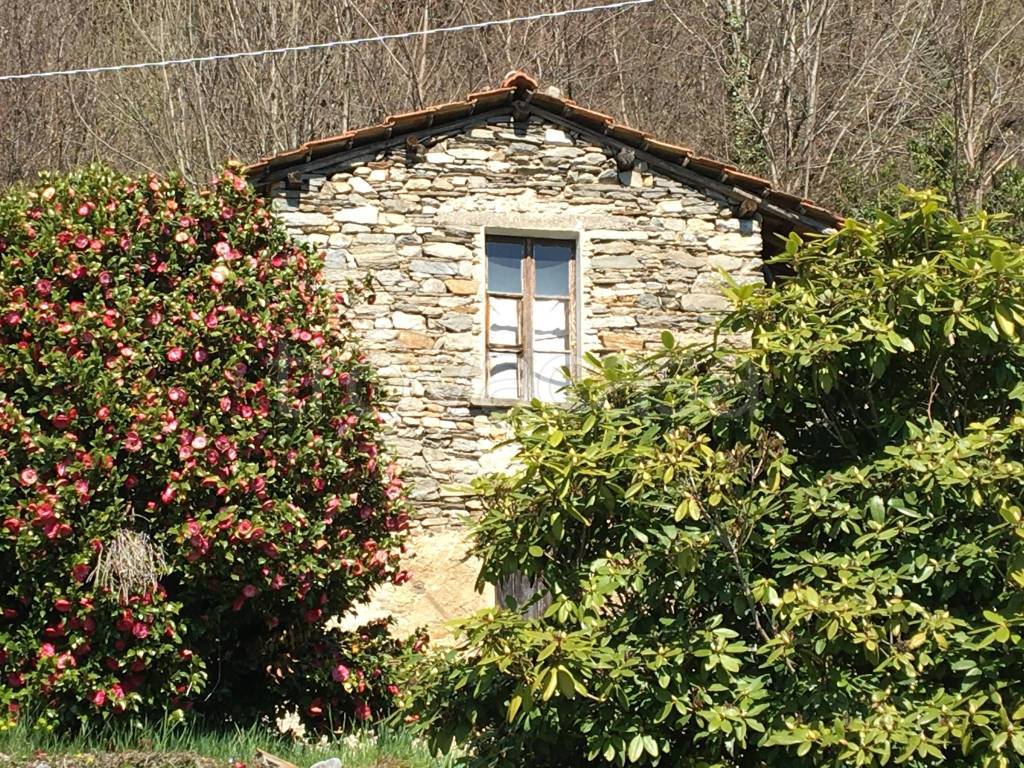immagine annuncio 6 di 13