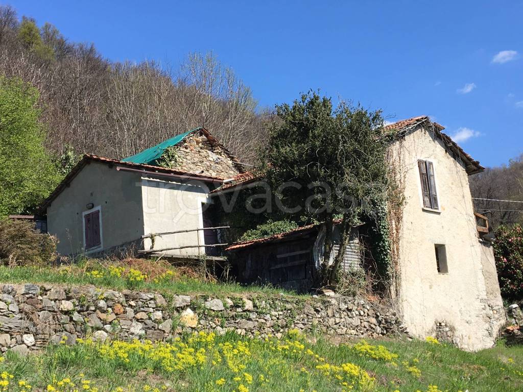 immagine annuncio 11 di 13