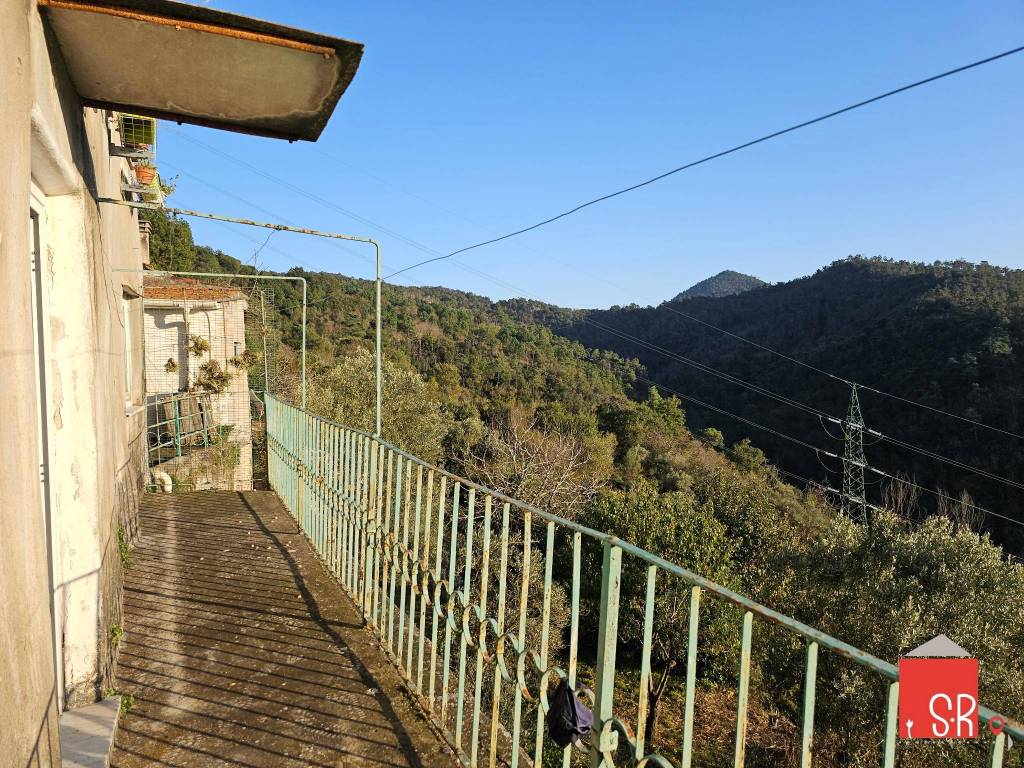 immagine annuncio 7 di 14