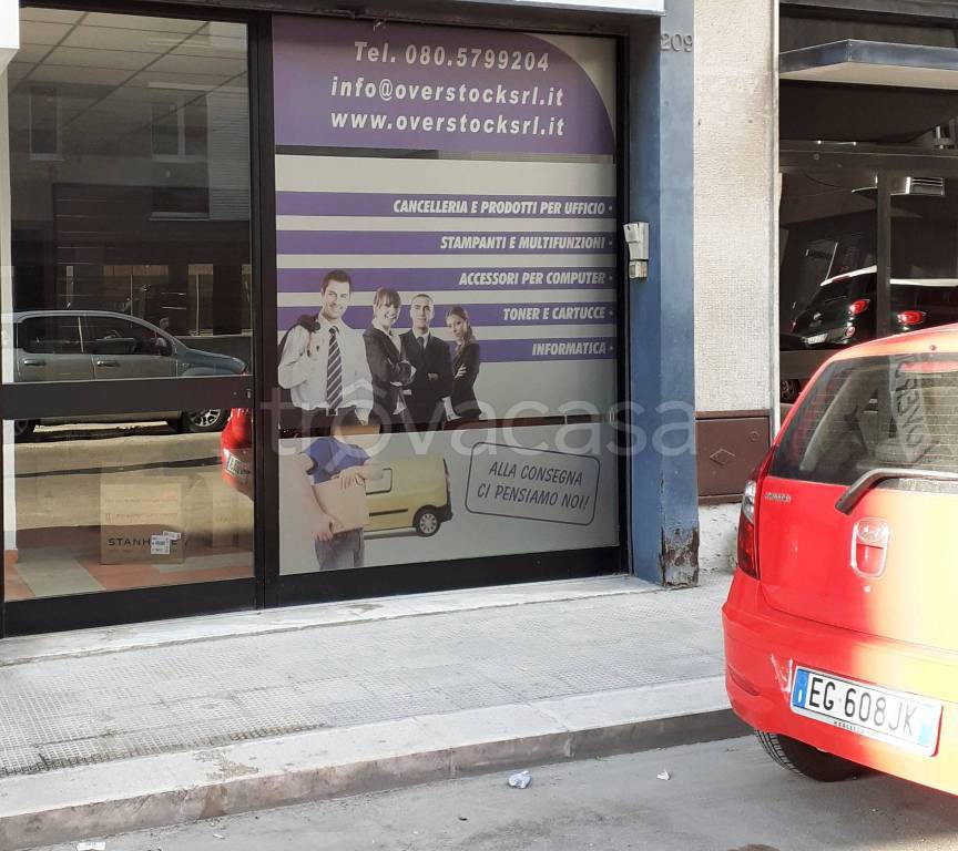 immagine annuncio 10 di 14