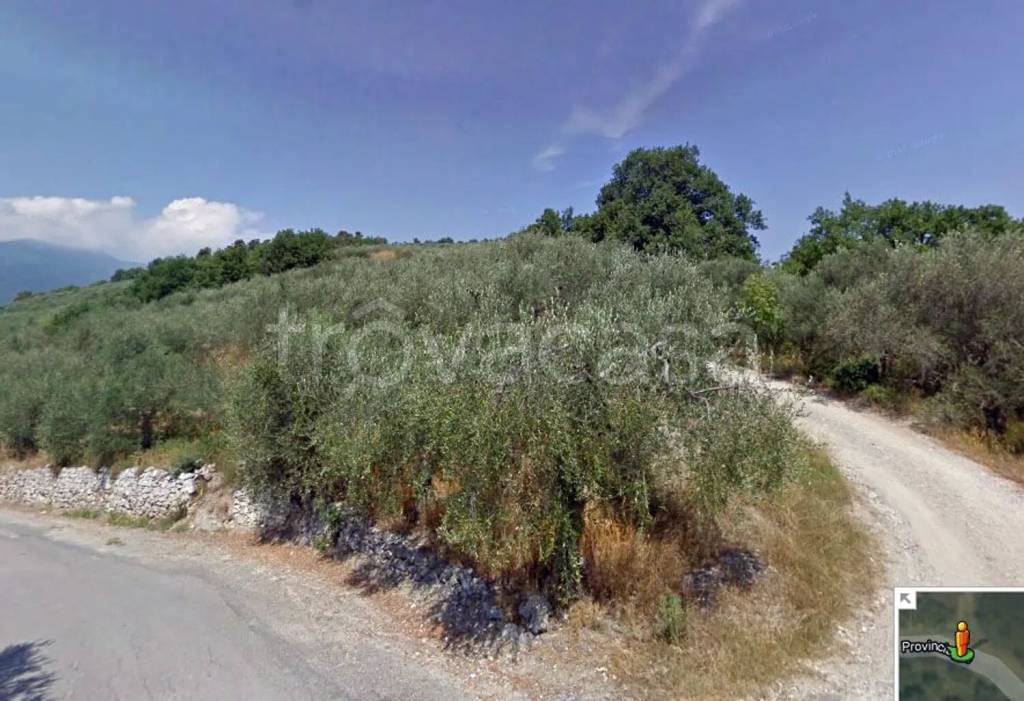 immagine annuncio 3 di 7