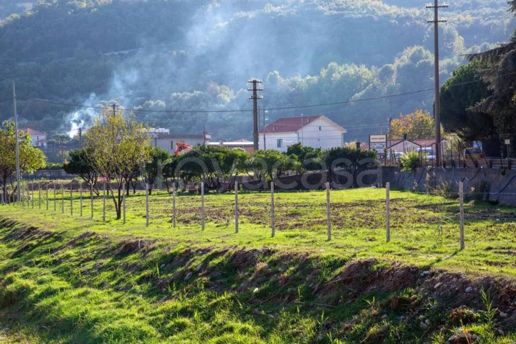 immagine annuncio 2 di 4