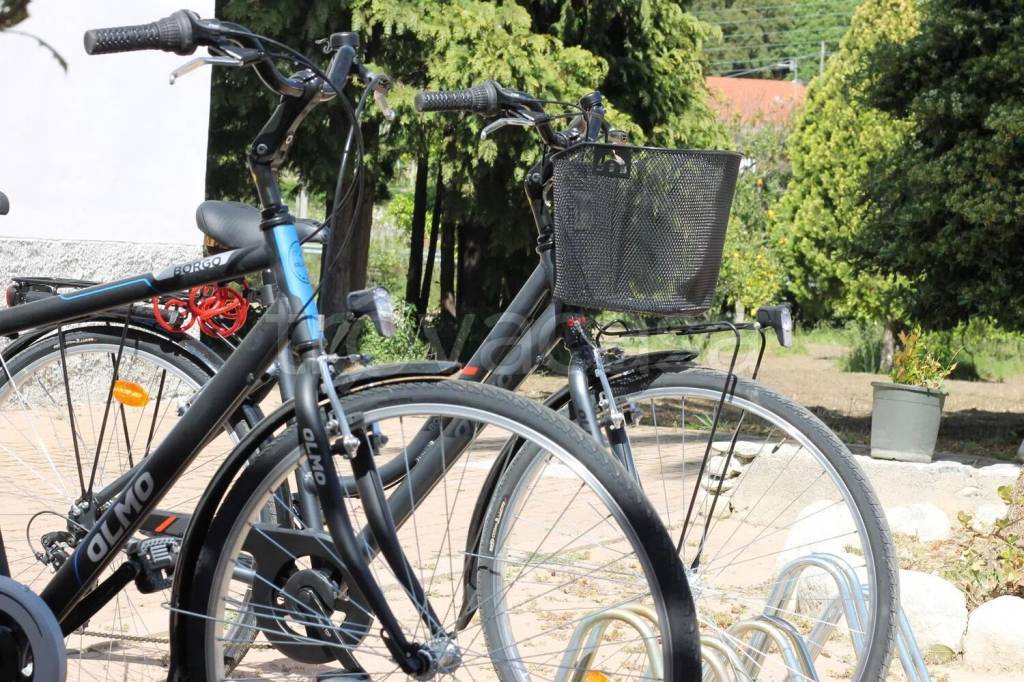 immagine annuncio 5 di 13