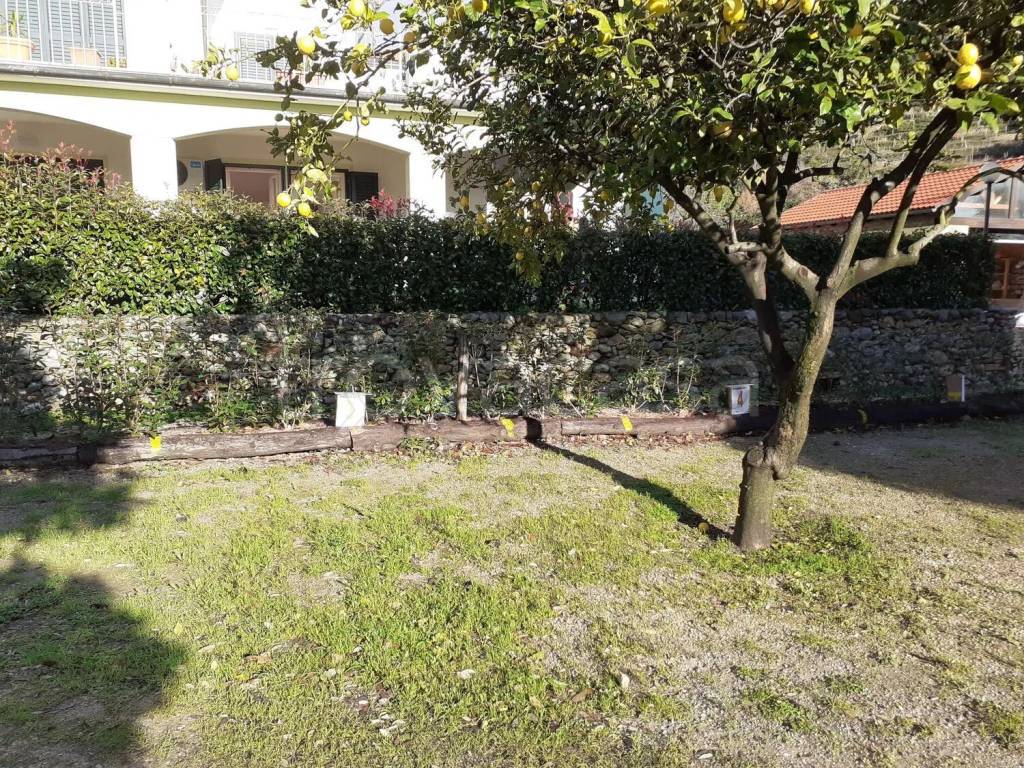 immagine annuncio 6 di 13