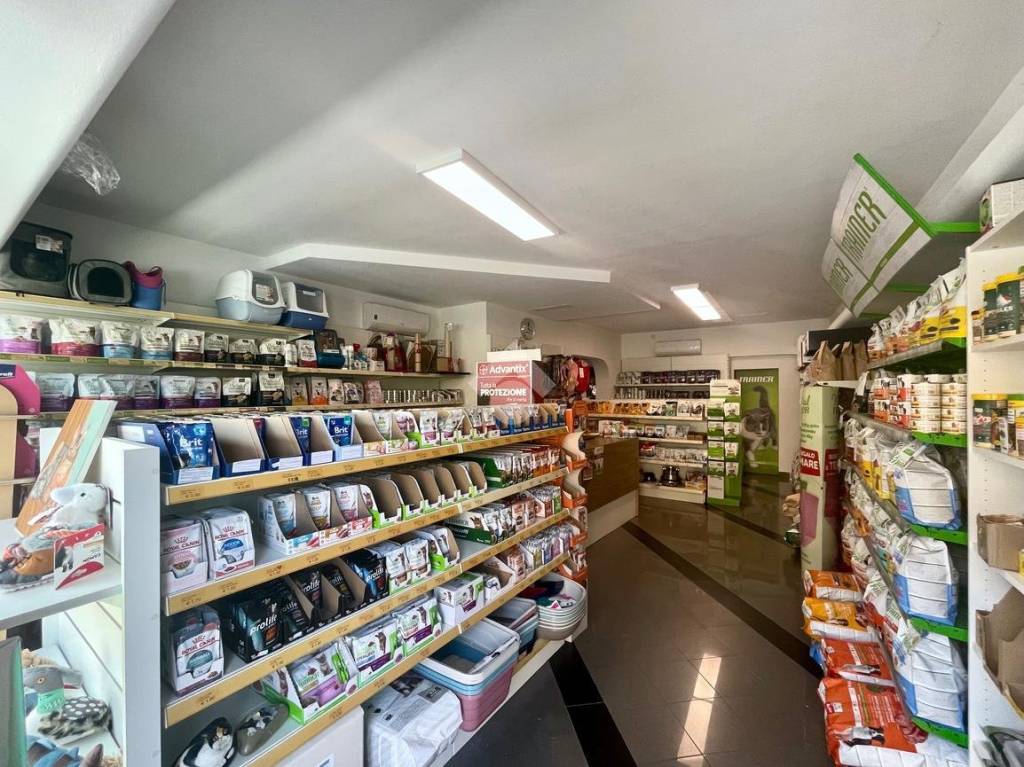 immagine annuncio 3 di 7