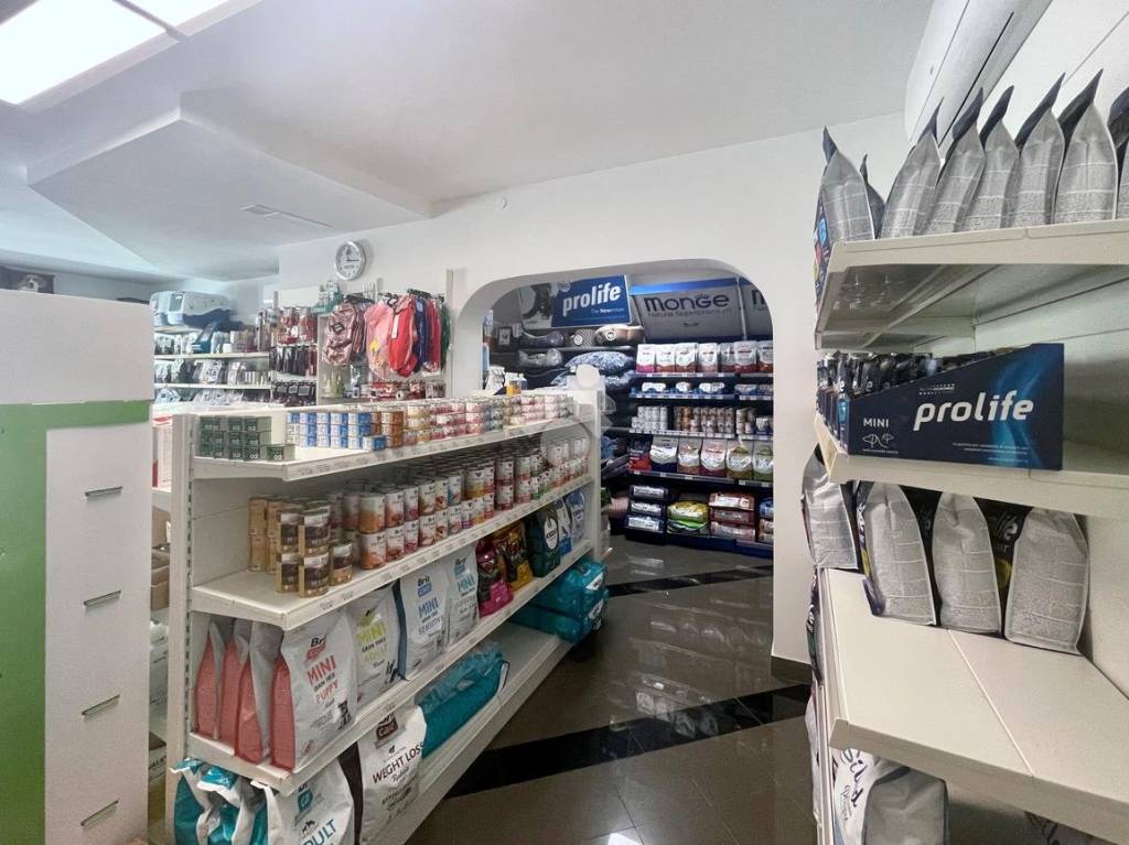 immagine annuncio 2 di 7