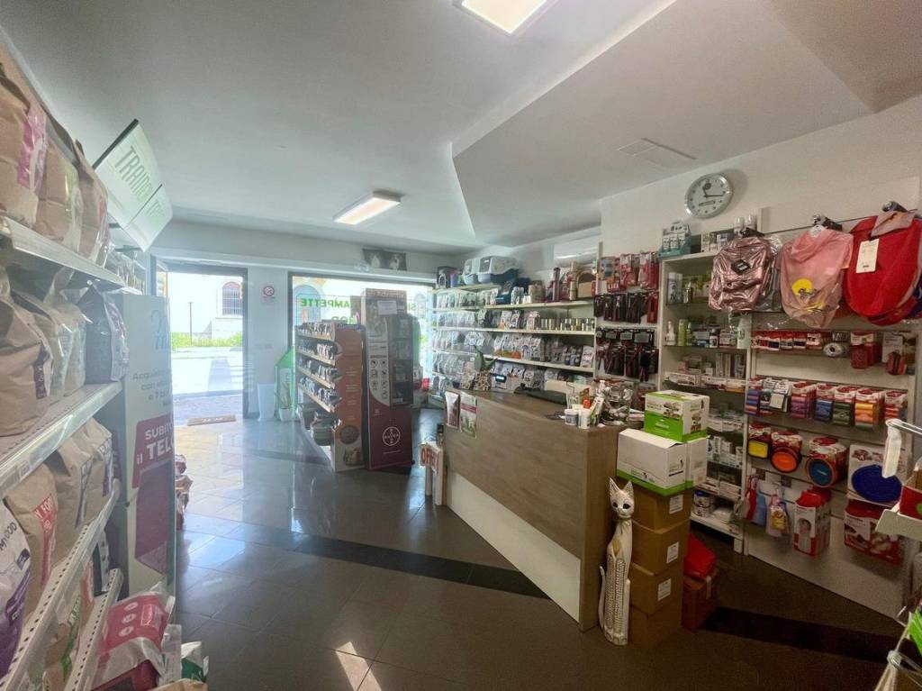 immagine annuncio 4 di 7