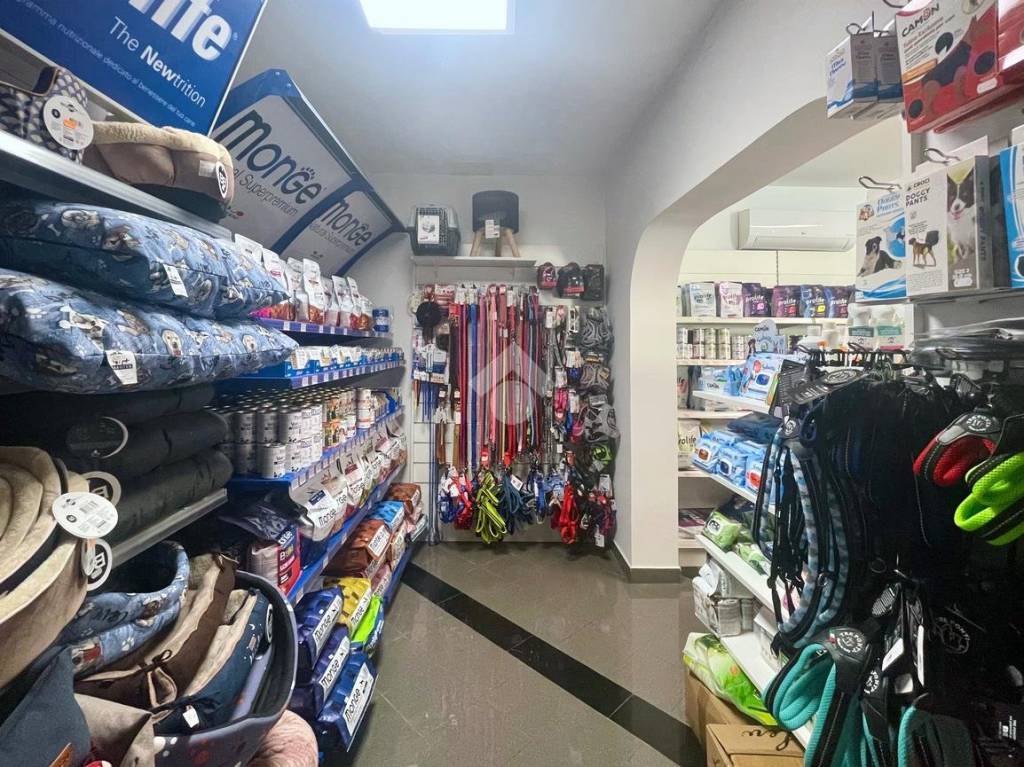 immagine annuncio 5 di 7