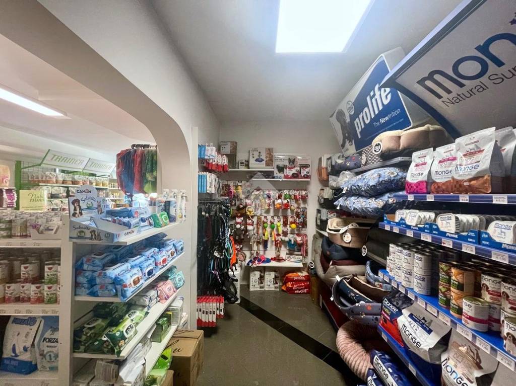 immagine annuncio 6 di 7