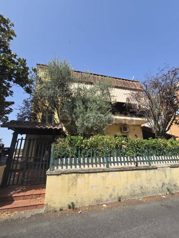immagine annuncio 11 di 12