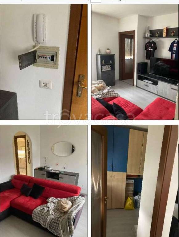 immagine annuncio 2 di 4