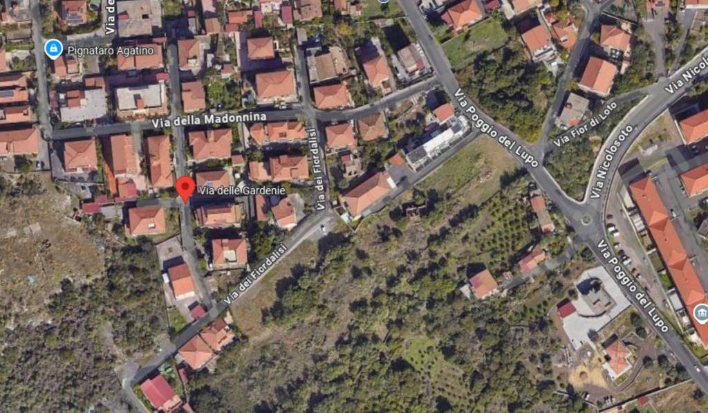 immagine annuncio 1 di 11