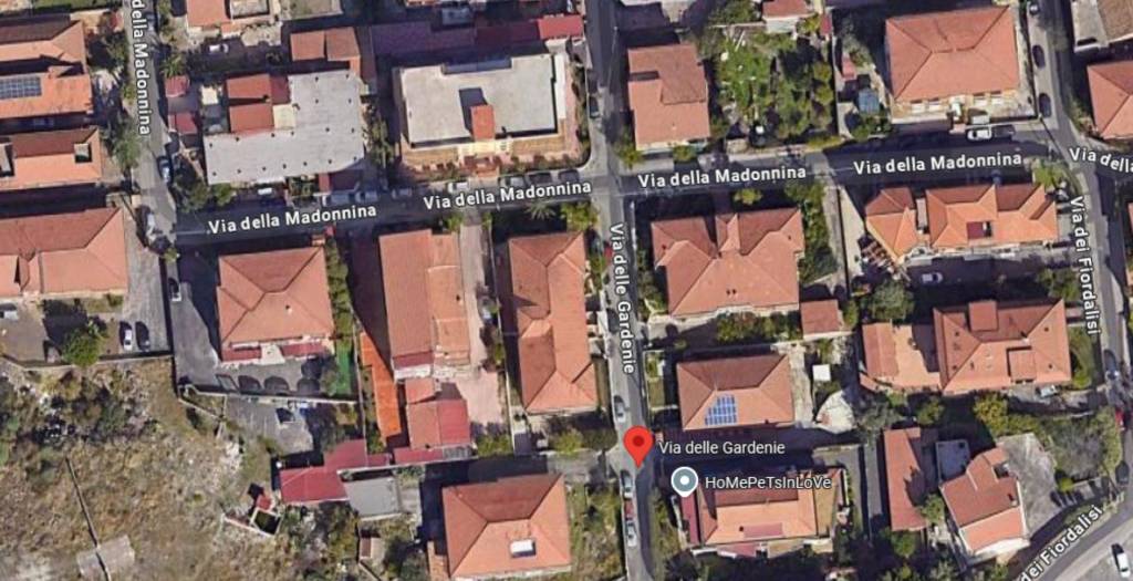 immagine annuncio 9 di 11