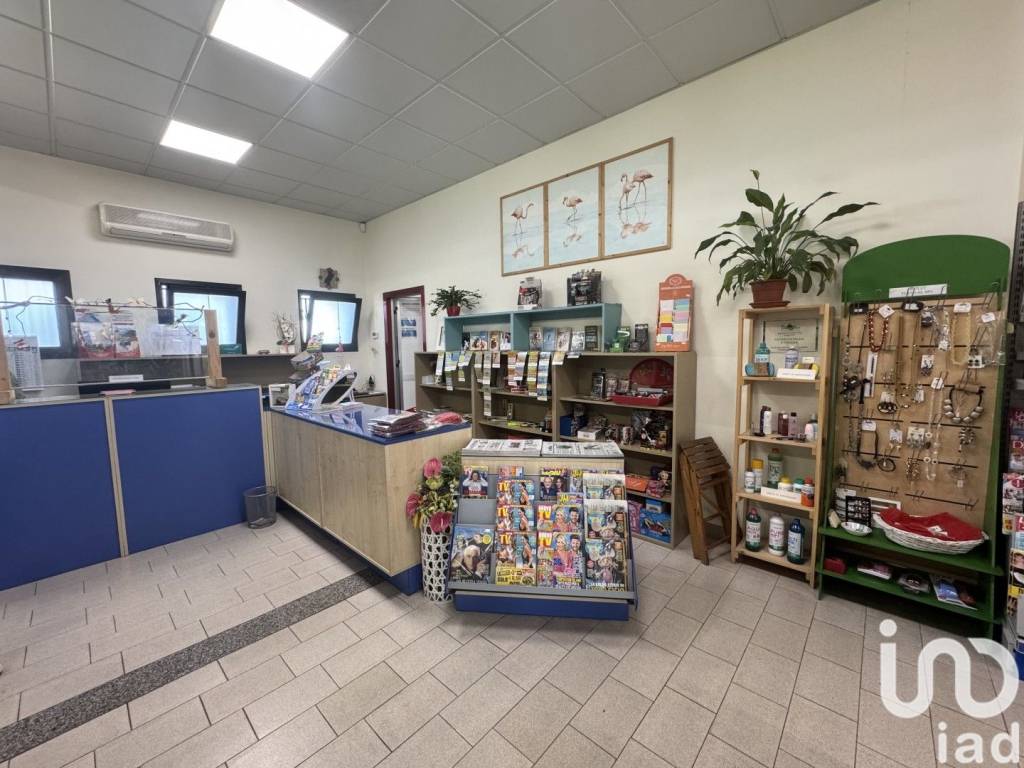 immagine annuncio 2 di 6