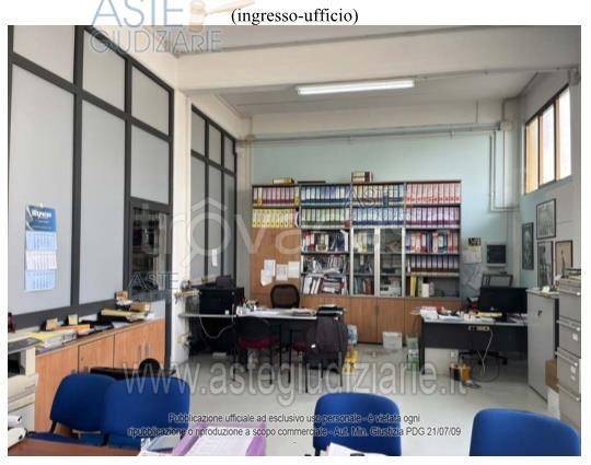 immagine annuncio 9 di 12