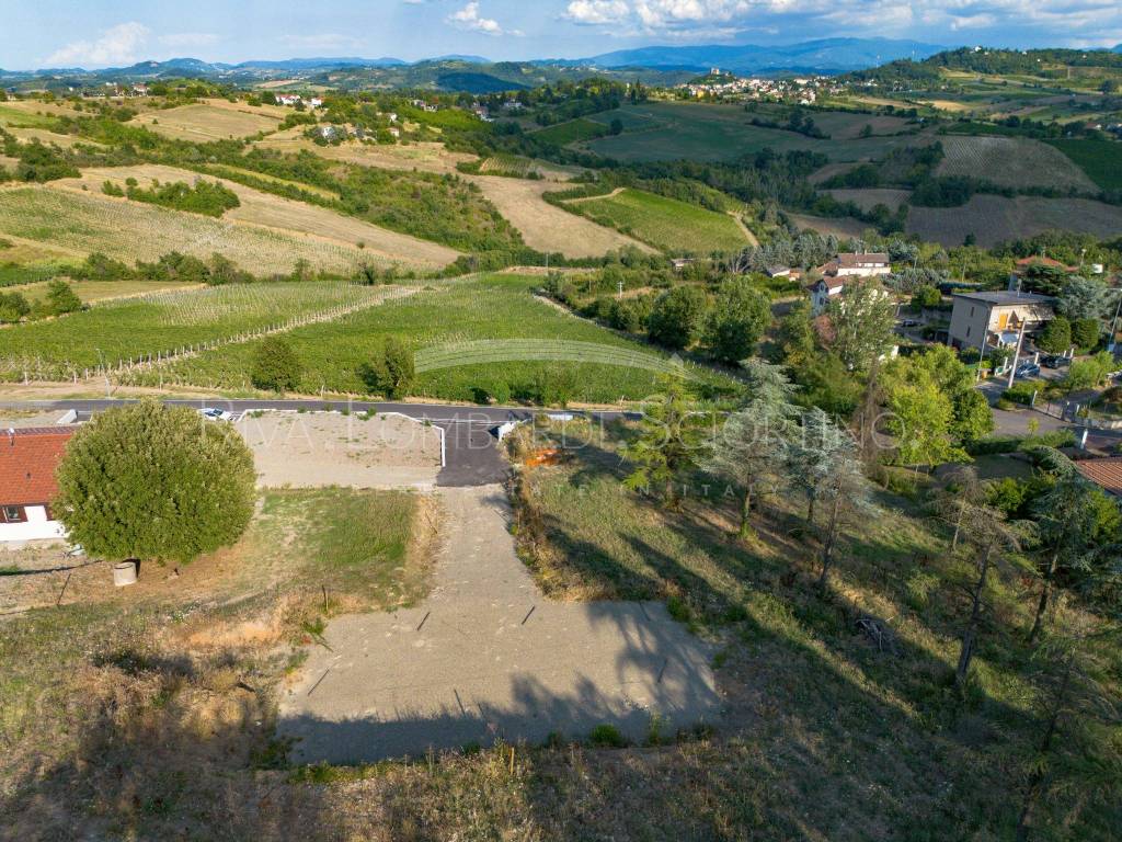 immagine annuncio 5 di 14