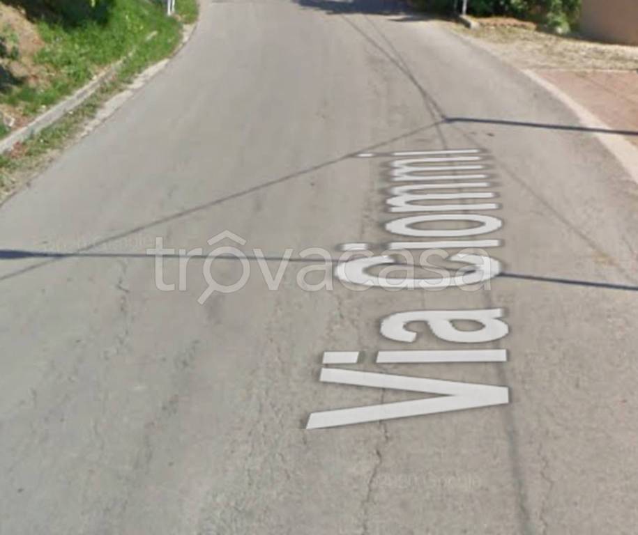immagine annuncio 10 di 13