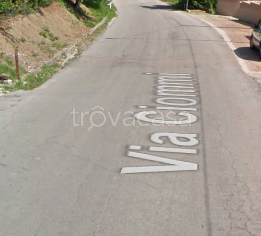 immagine annuncio 12 di 13