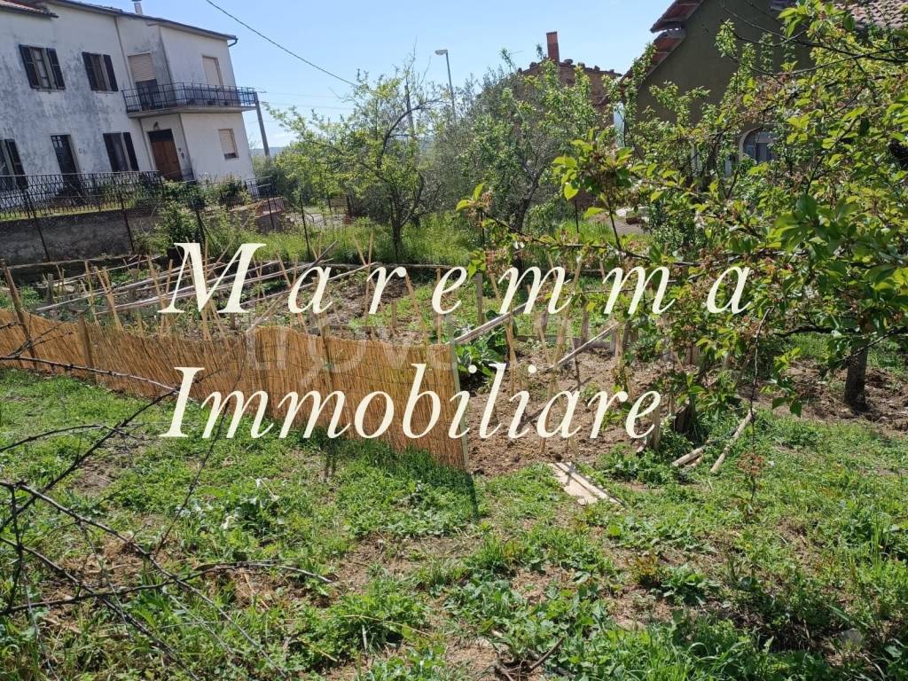 immagine annuncio 4 di 6