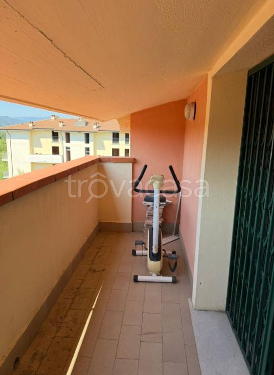 immagine annuncio 3 di 11