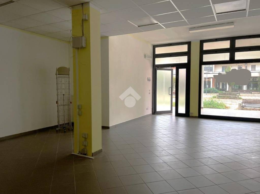 immagine annuncio 2 di 14