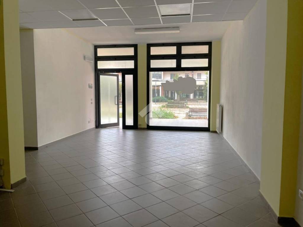 immagine annuncio 6 di 14