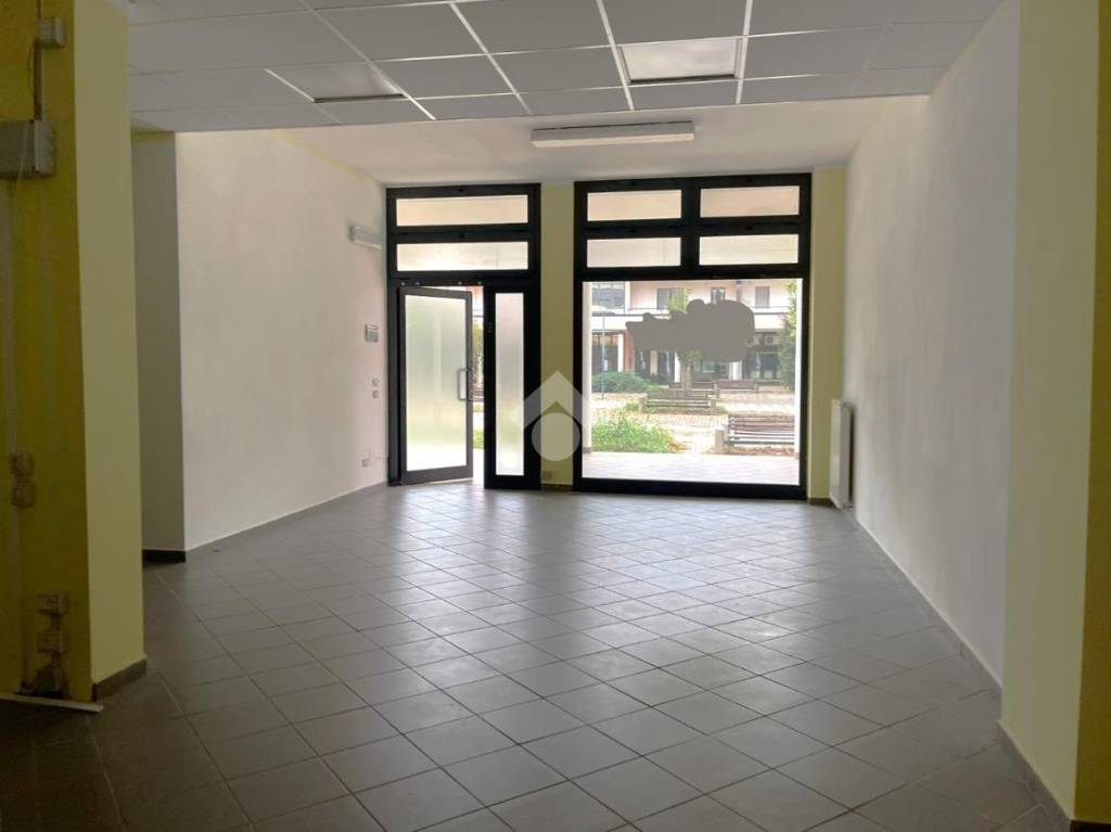 immagine annuncio 7 di 14