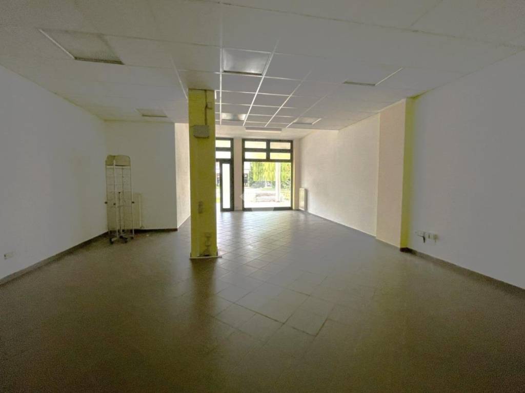 immagine annuncio 10 di 14