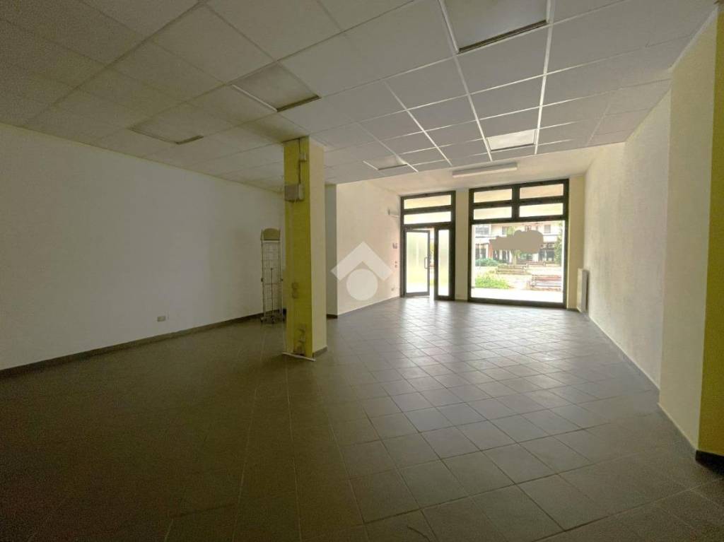 immagine annuncio 11 di 14