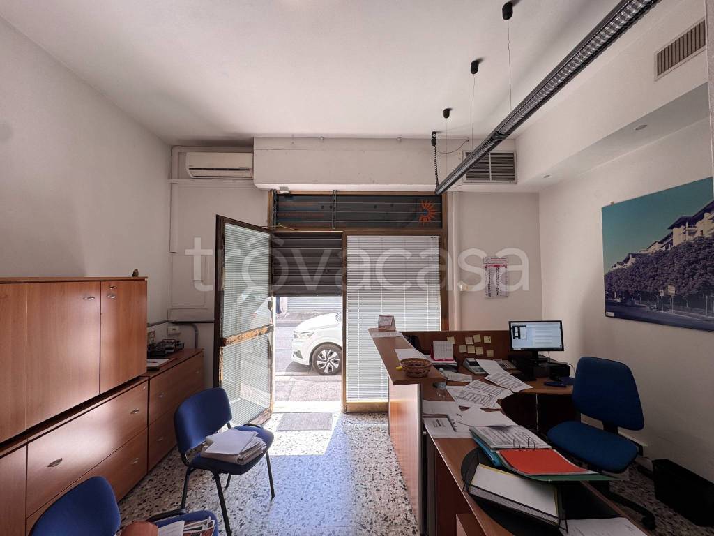 immagine annuncio 3 di 6