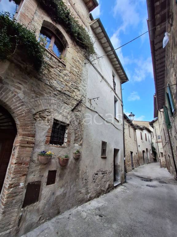 immagine annuncio 3 di 6
