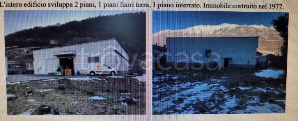immagine annuncio 10 di 11