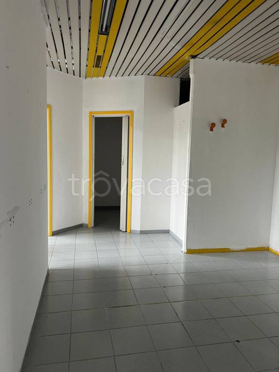 immagine annuncio 3 di 6