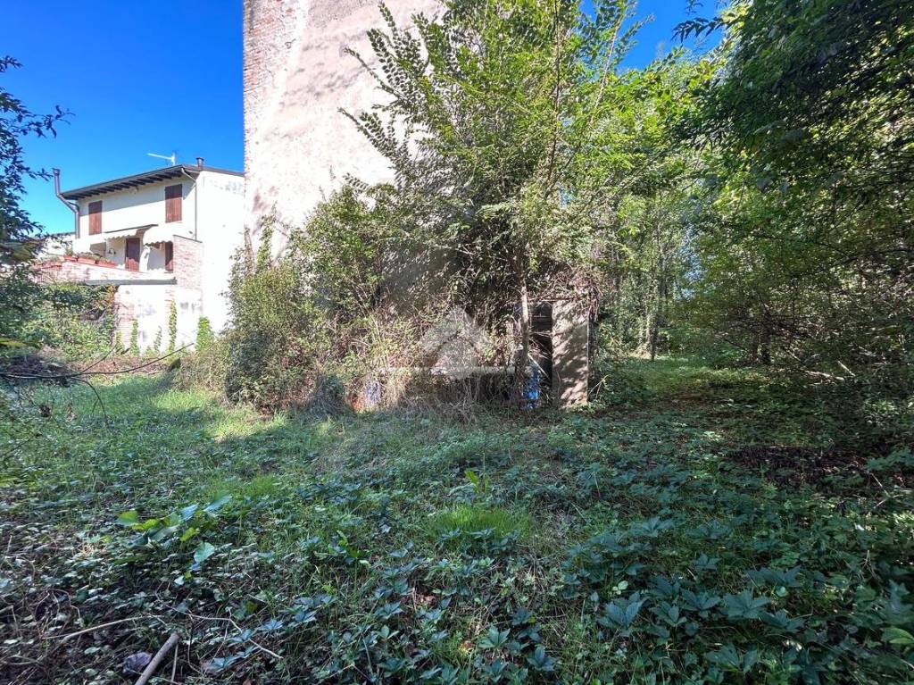 immagine annuncio 2 di 12