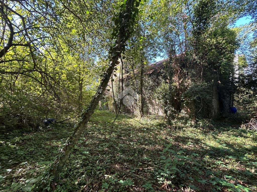 immagine annuncio 11 di 12