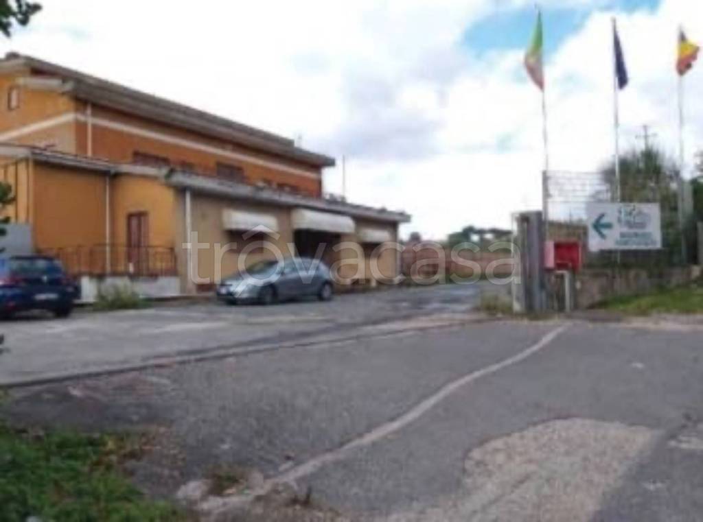 immagine annuncio 9 di 11