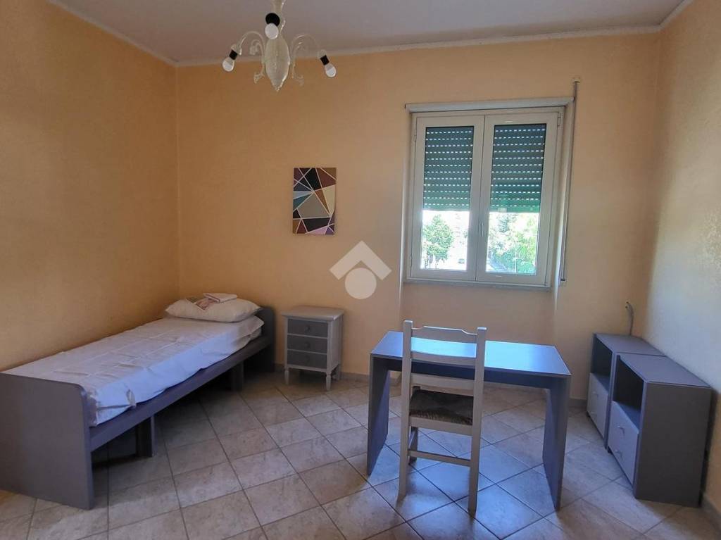 immagine annuncio 7 di 14