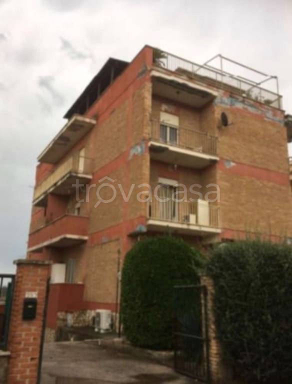 immagine annuncio 5 di 11