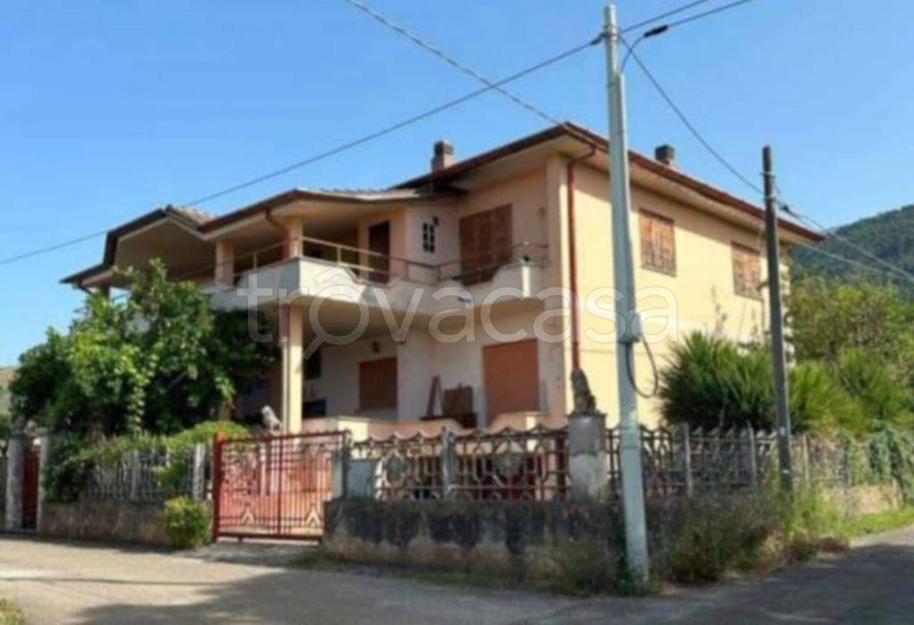 immagine annuncio 7 di 11