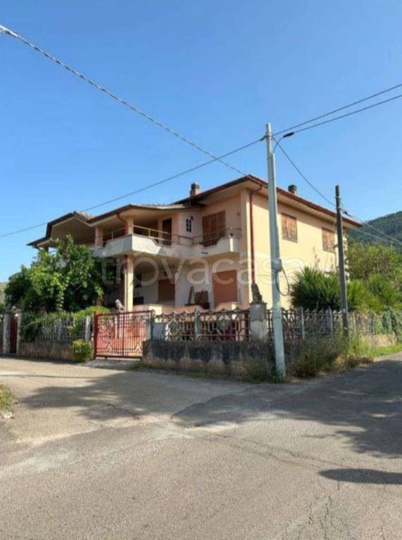immagine annuncio 8 di 11