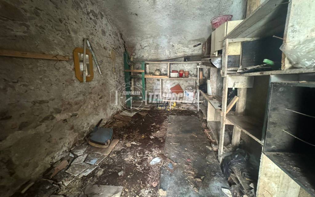 immagine annuncio 10 di 14